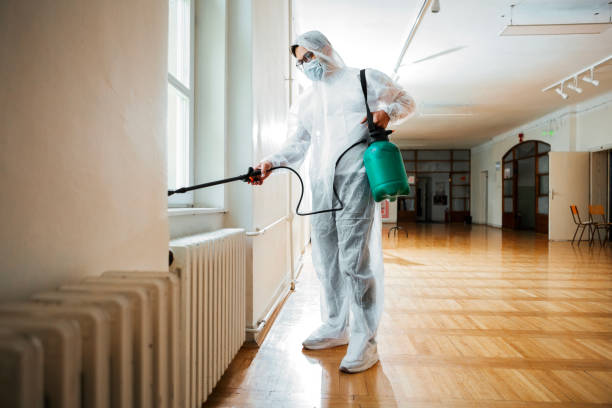 Best Fumigation Services  in Northport, AL